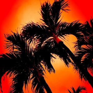 PRIVATE BUNDLE FOR SHER